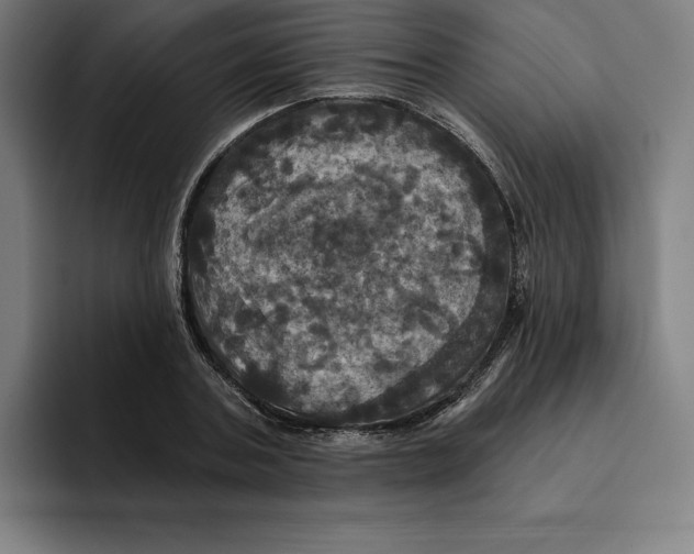 X0000094900787200712271451