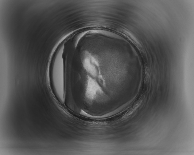 X0000094900788200712271451