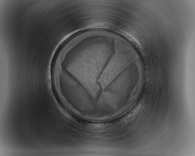 X0000094900792200712271451