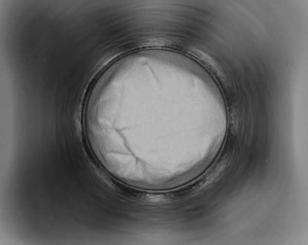 X0000094900794200712271451