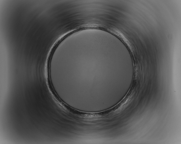 X0000094900795200712271451