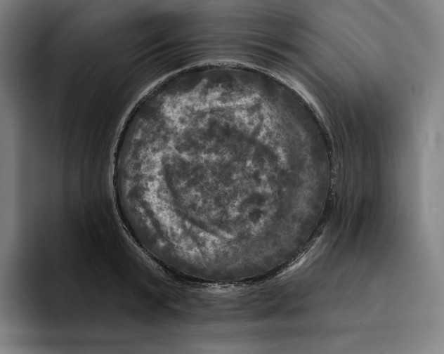 X0000094900799200712271451