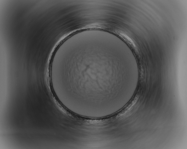 X0000094900800200712271451