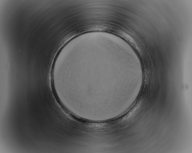 X0000094900802200712271451