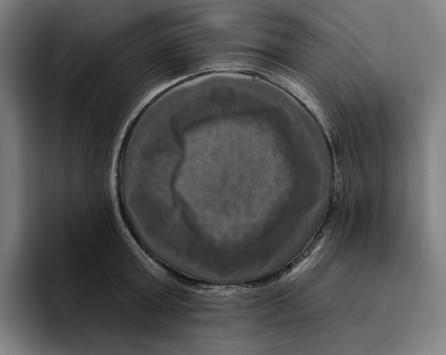 X0000094900803200712271451