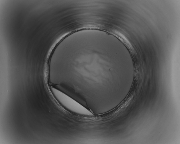 X0000094900804200712271451