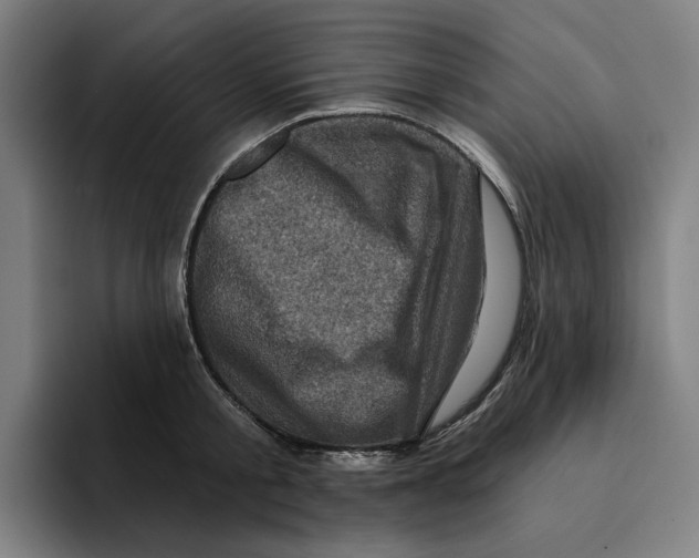 X0000094900805200712271451