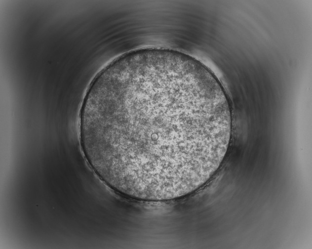 X0000094900807200712271451