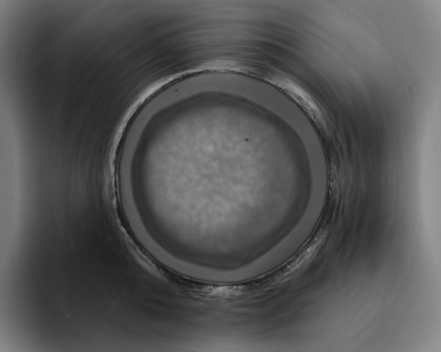 X0000094900808200712271451