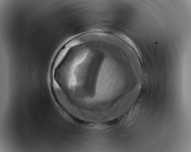 X0000094900811200712271451