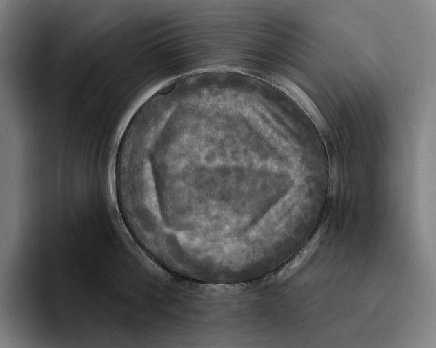 X0000094900812200712271451