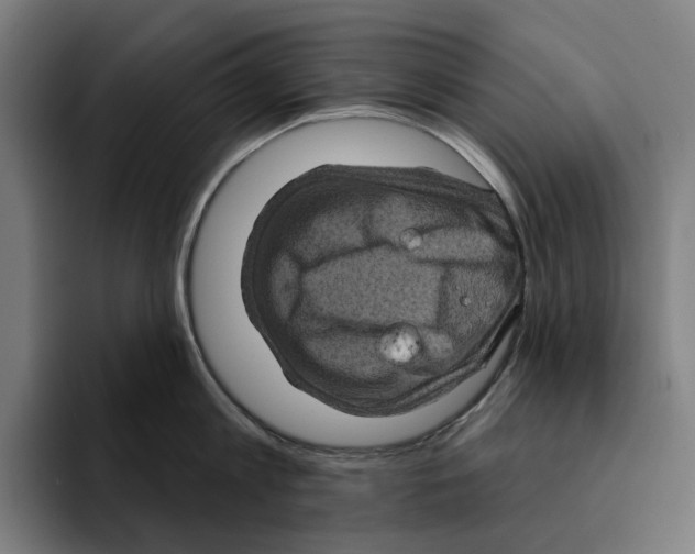 X0000094900813200712271451