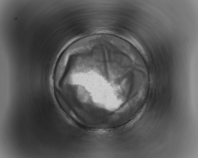 X0000094900814200712271451