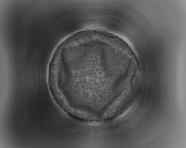 X0000094900815200712271451