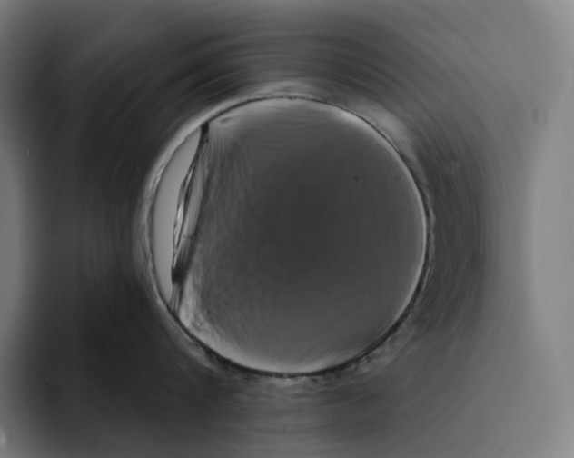 X0000094900816200712271451