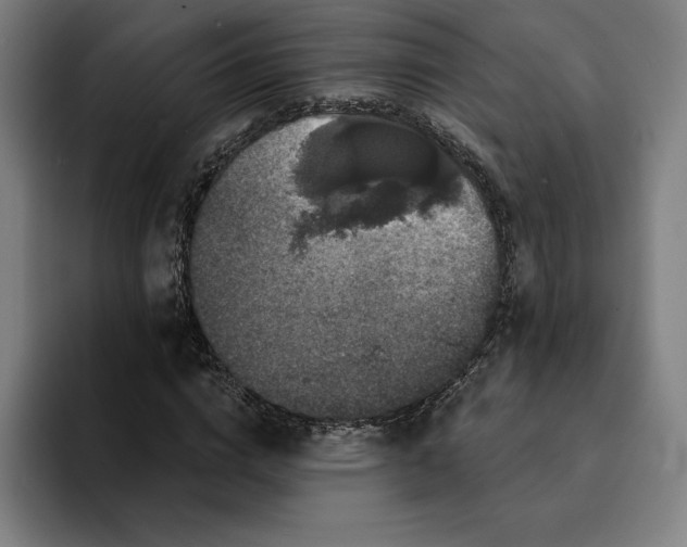 X0000094900824200712271450