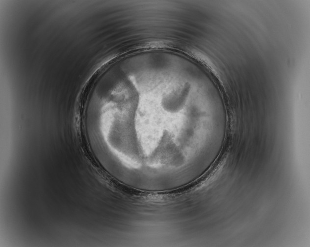 X0000094900827200712271450