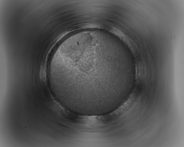 X0000094900828200712271450