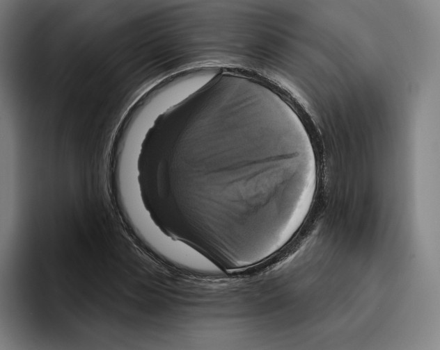 X0000094900829200712271450