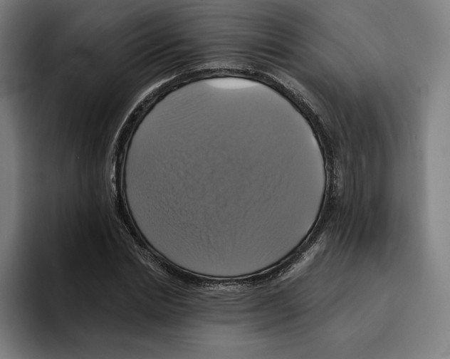 X0000094900830200712271450