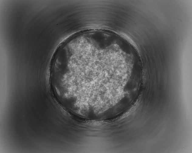 X0000094900831200712271450