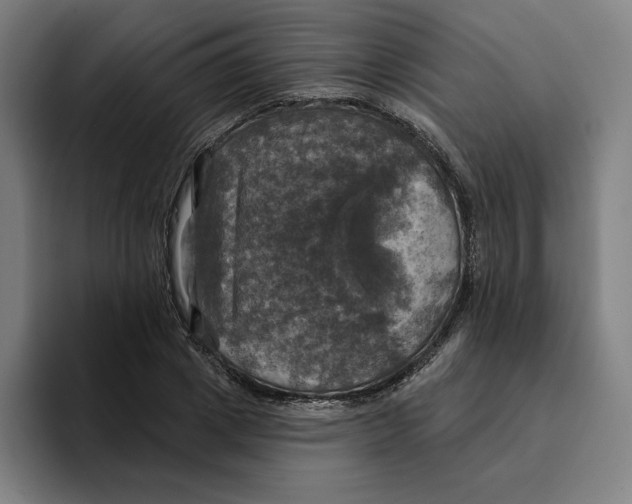 X0000094900833200712271450