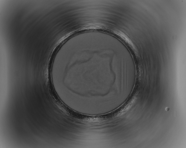 X0000094900834200712271450