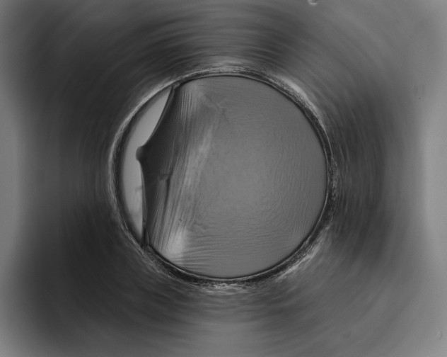 X0000094900835200712271450