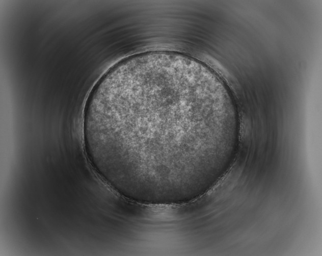 X0000094900836200712271450