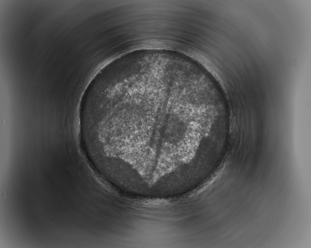 X0000094900837200712271451