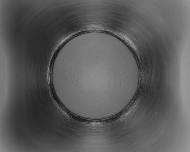 X0000094900839200712271451