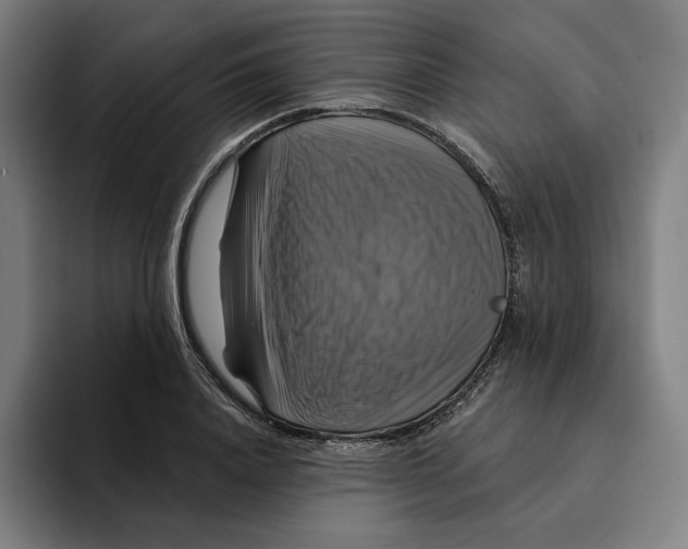 X0000094900840200712271451