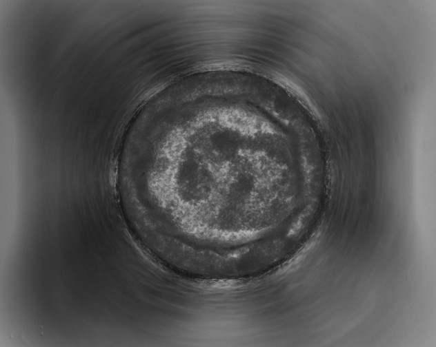 X0000094900841200712271451