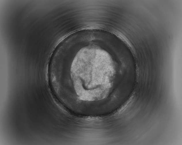 X0000094900842200712271451