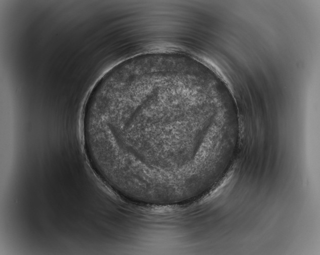 X0000094900843200712271451