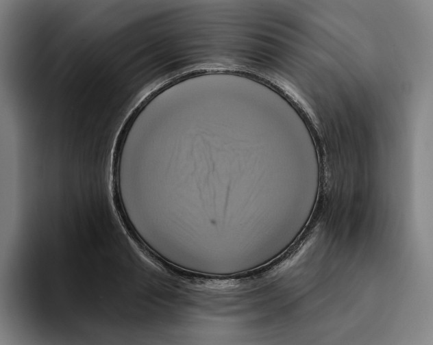 X0000094900845200712271451