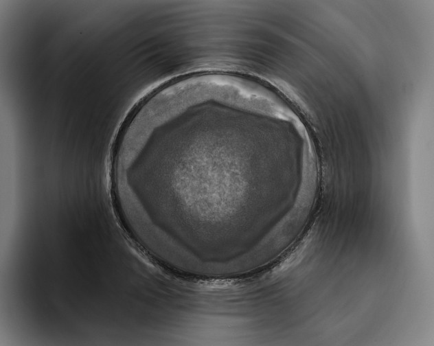 X0000094900846200712271451