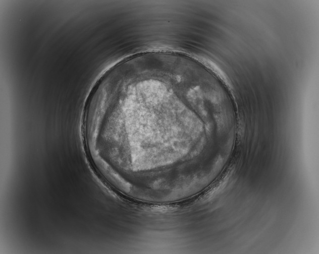 X0000094900847200712271451