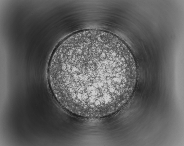 X0000094900848200712271451