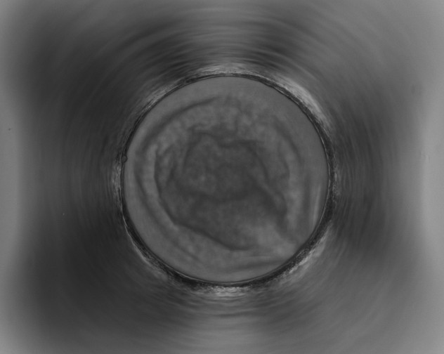 X0000094900849200712271451