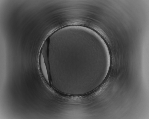 X0000094900850200712271451