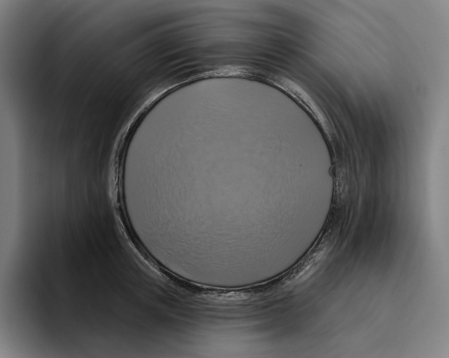 X0000094900851200712271451