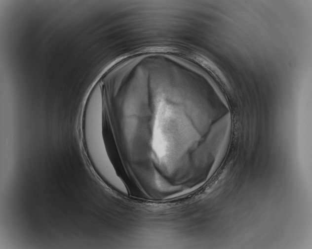 X0000094900852200712271451