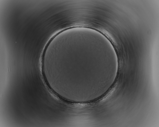 X0000094900854200712271451