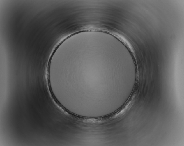 X0000094900855200712271451