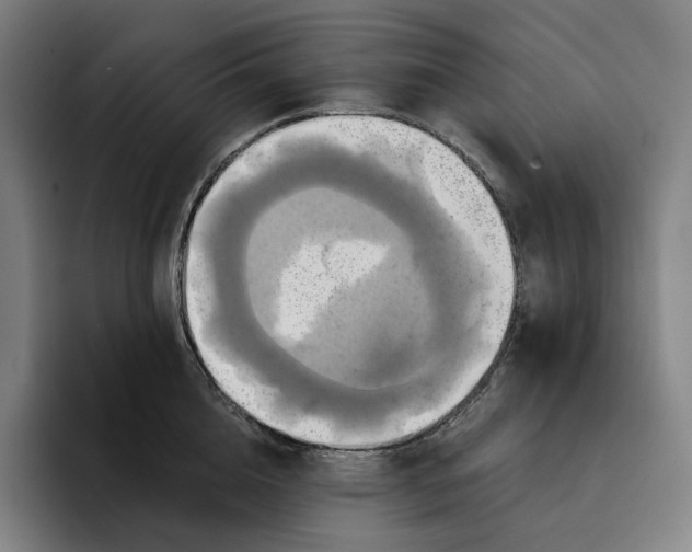 X0000094900856200712271451