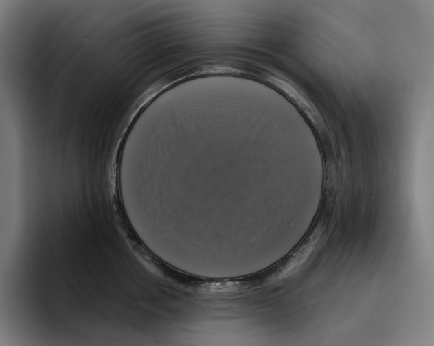 X0000094900858200712271451