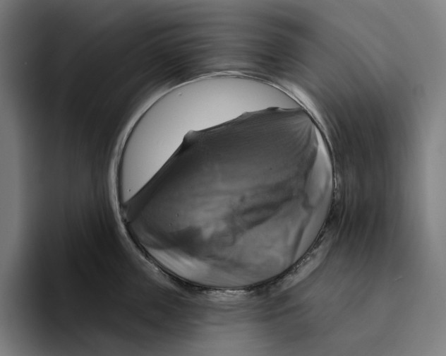 X0000094900859200712271451