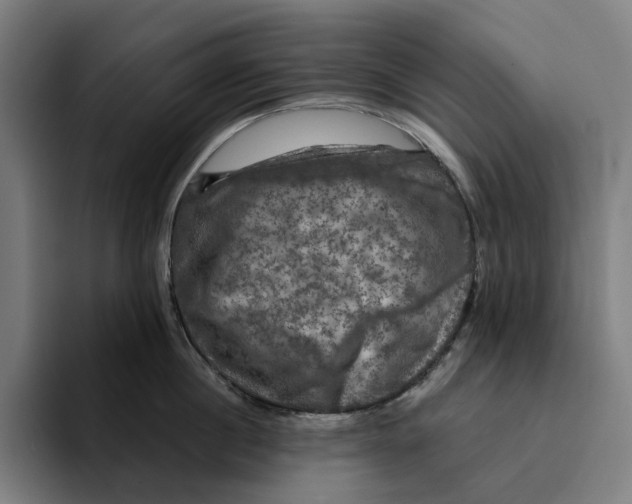 X0000094900860200712271451