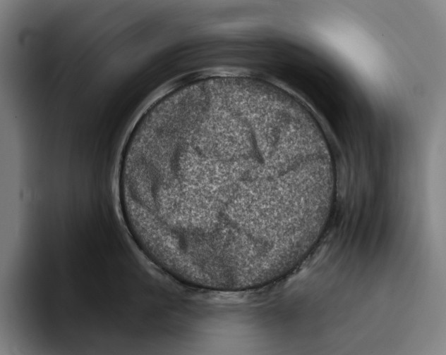 X0000094900861200712271451